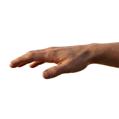 Human Hand
