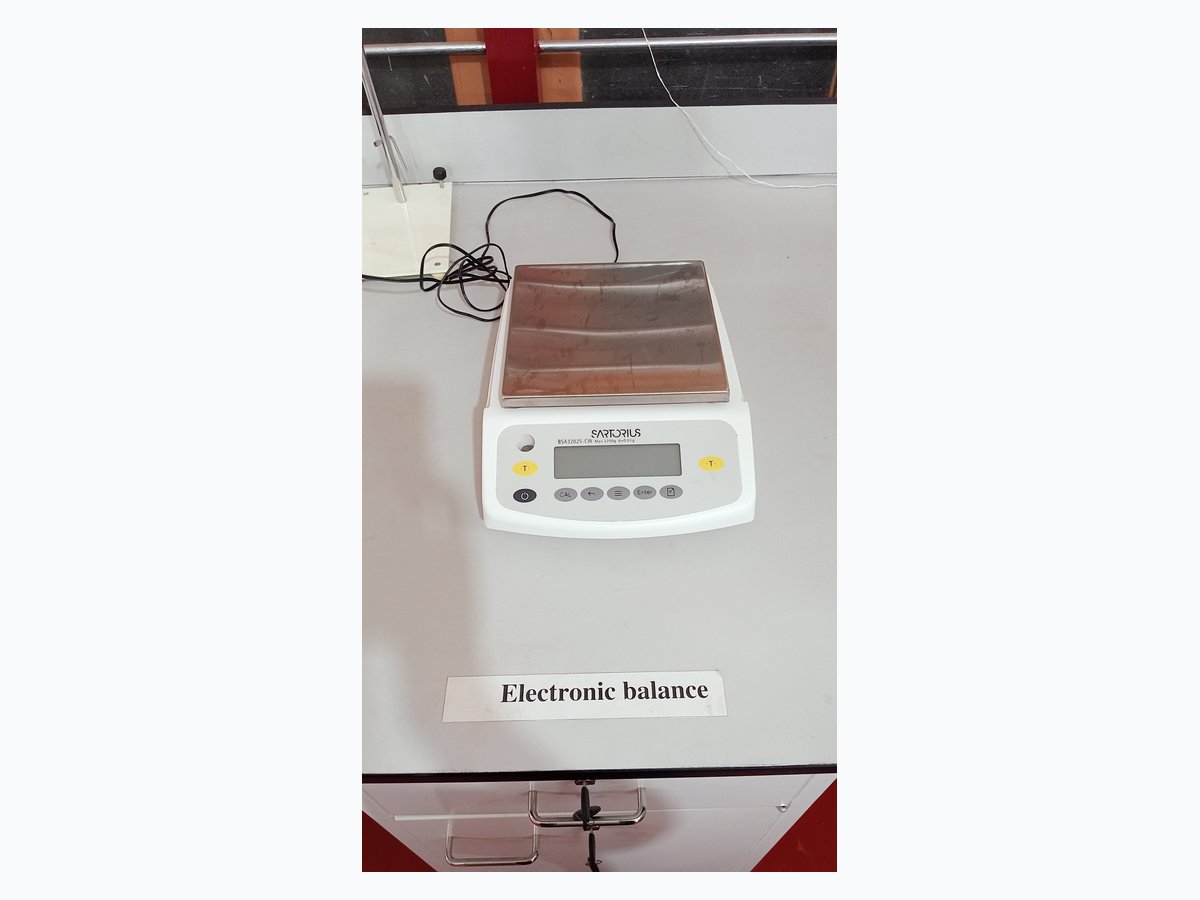 Digital Balance