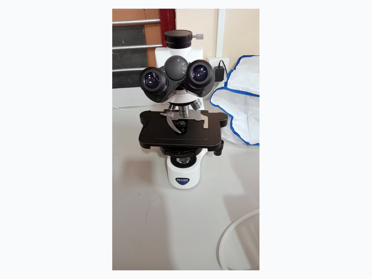 Binocular Microscope