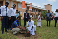 Alliance finance 2023