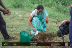 Alliance finance 2025