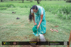 577059653_825591883729748_3479671573857937186_n