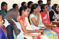 Becoming a highly Effective Staff