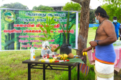 DSCN16414