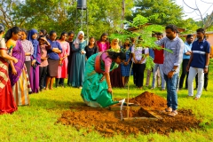 IMG_7856n.jpg-nggid042290-ngg0dyn-240x160x100-00f0w010c010r110f110r010t010