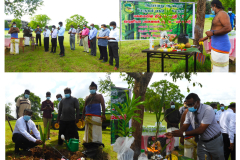 01-DOG-Materials-Marutham-pasumai-movement-25.11.2021