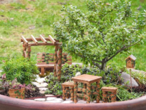 Miniature-Garden