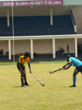 hockey-5