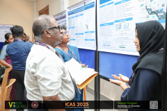 icas2025-113