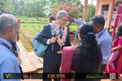 icas2025-132