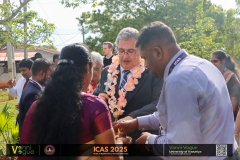 icas2025-133