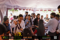 icas2025-135