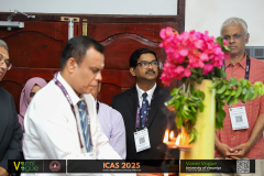 icas2025-24