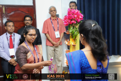 icas2025-29