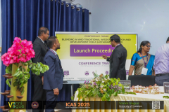 icas2025-87
