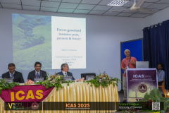 icas2025-91