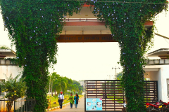 landscape & Gardening Activities