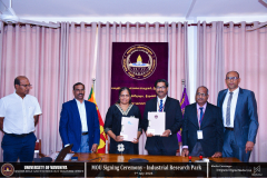 DSC_7952