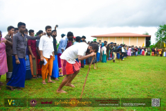 DSC_0674-1536x1024
