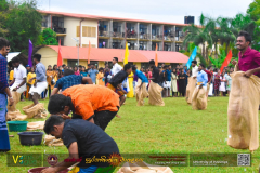 DSC_0853-1536x1024