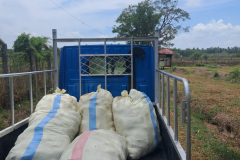 Palmyrah Development Board 2025