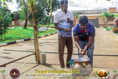 Thai-2022-11