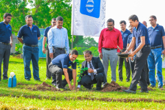 Tree Plantation – By Commercial Bank