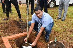 Tree Plantation  Malar 2022