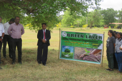 Tree Plantation Program  2022