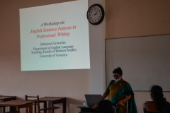 Workshop on Sentence patterns in Professional Writing