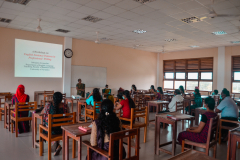 Workshop on Sentence patterns in Professional Writing