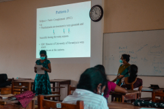 Workshop on Sentence patterns in Professional Writing