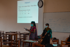 Workshop on Sentence patterns in Professional Writing