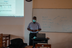 Workshop on Sentence patterns in Professional Writing