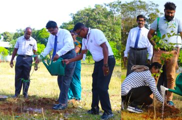 Tree Plantation Program at the Garden Village Hostel Premises